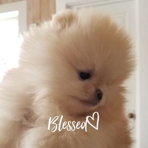 Meet your Posher, Shelli